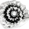 Anello - Bright Shell