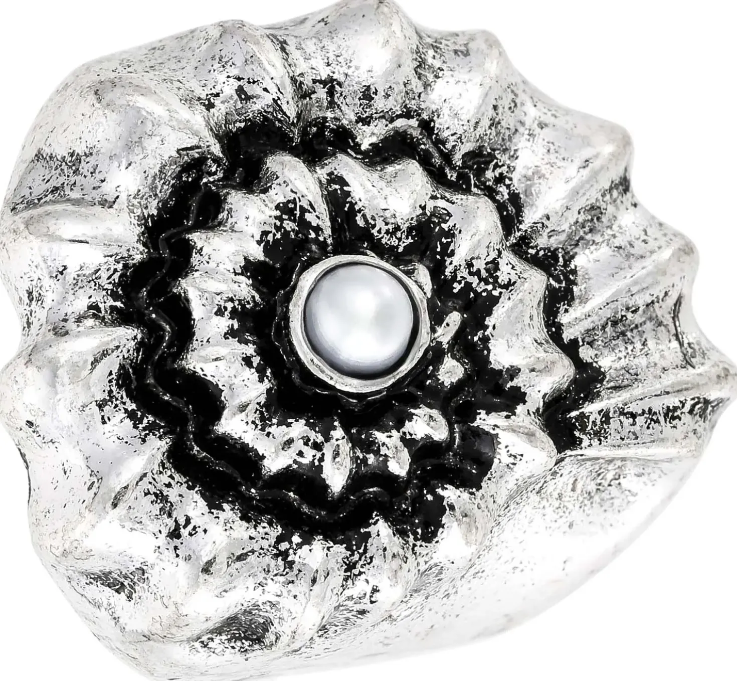 Anello - Bright Shell