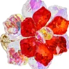 Anello - Funky Blossom