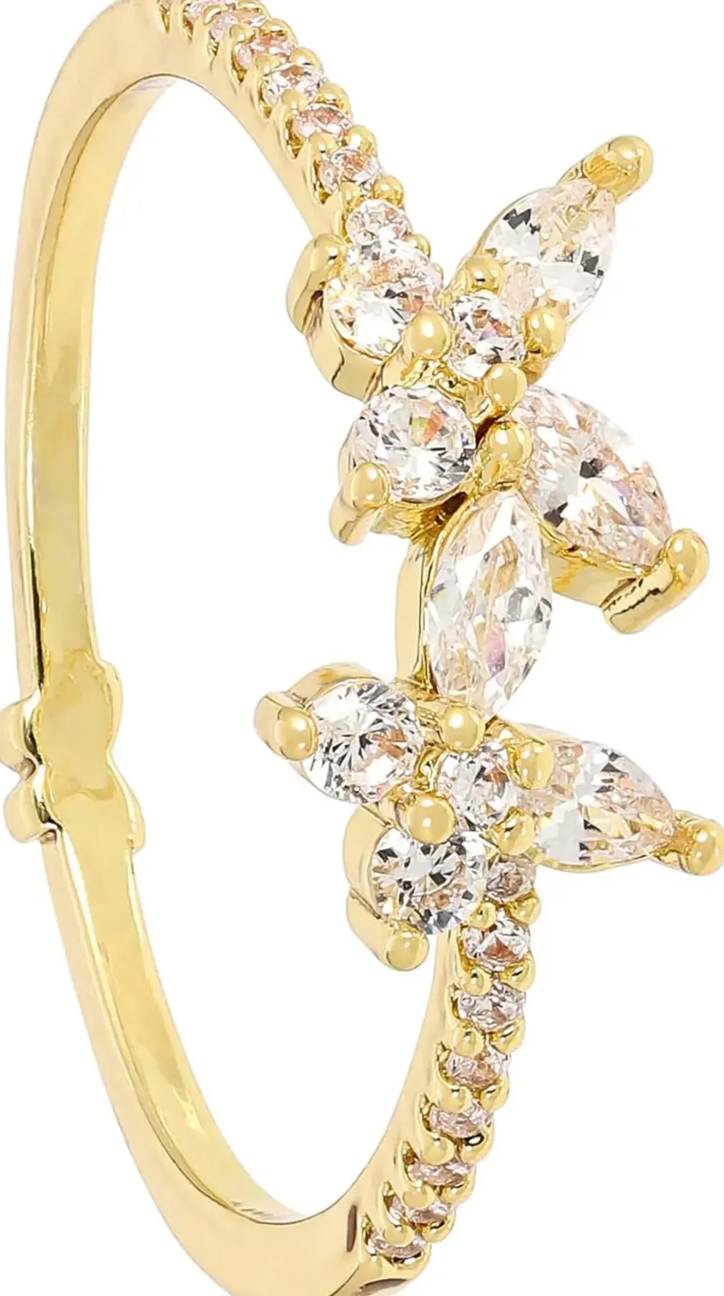 Anello - Gleaming Nature