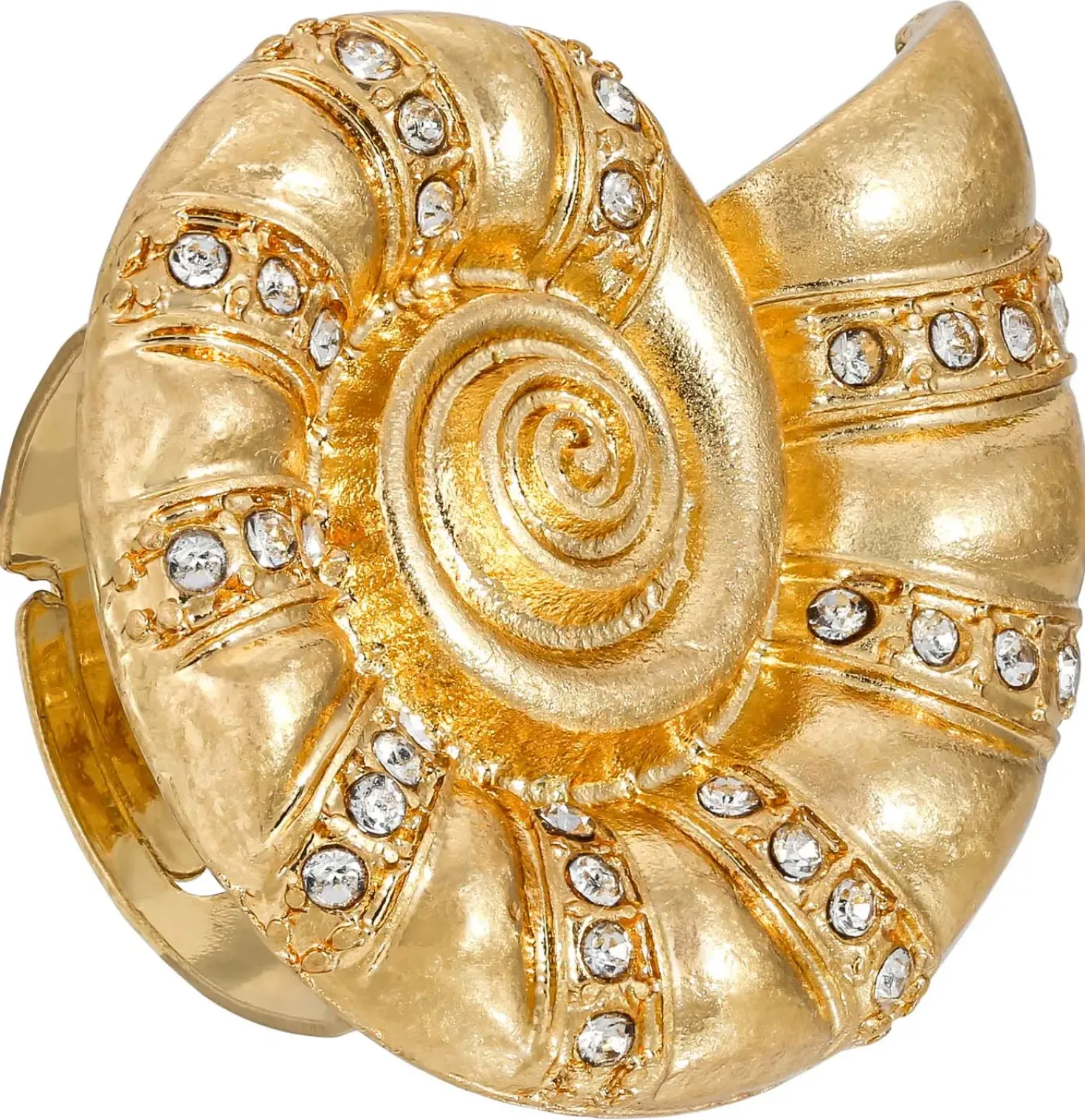 Anello - Golden Ammonite
