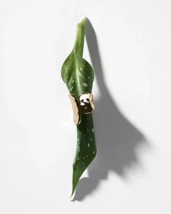 Anello - Hammered Asymmetry
