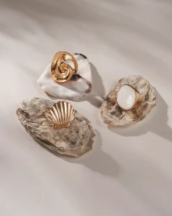 Anello - Perfect Shell