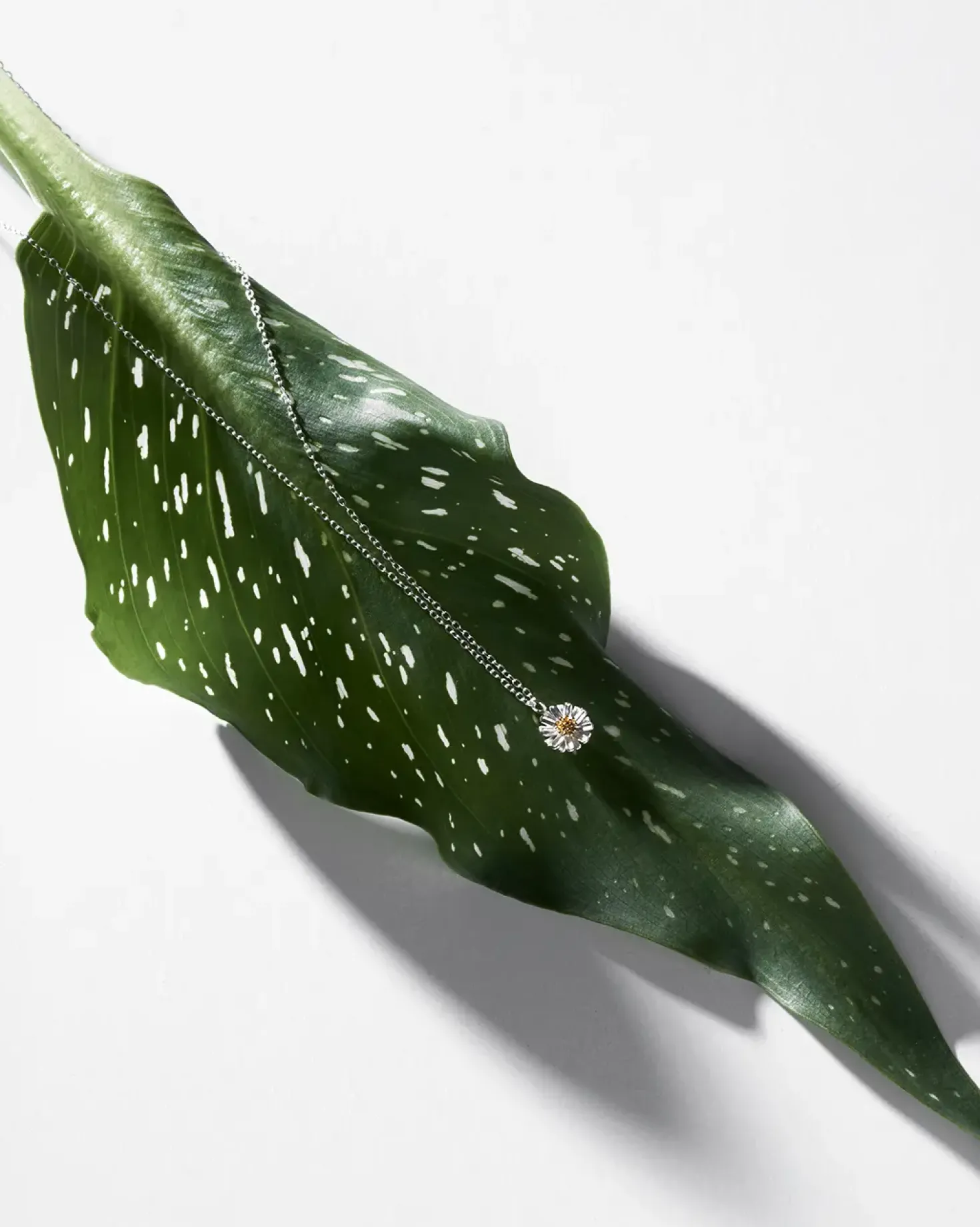 Collana - Gleaming Daisy