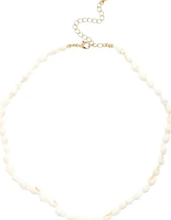 Collana - Real Shells