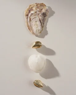 Creoli - Golden Shells
