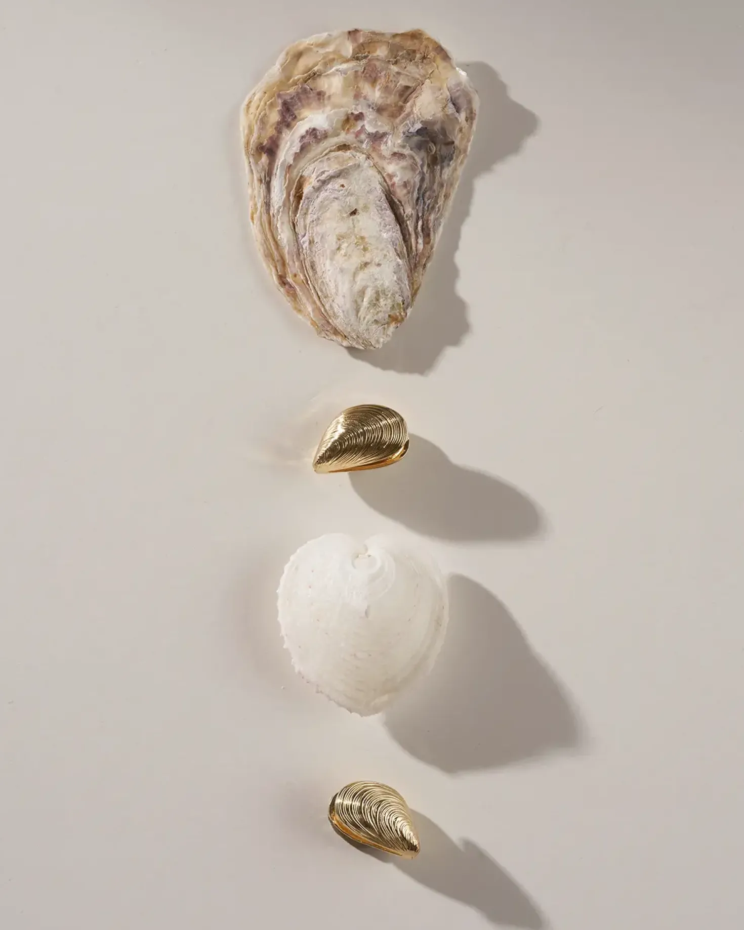 Creoli - Golden Shells