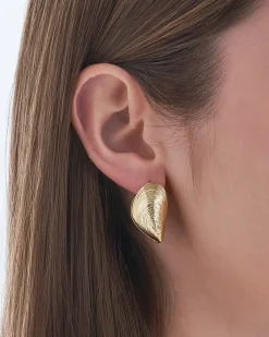 Creoli - Golden Shells