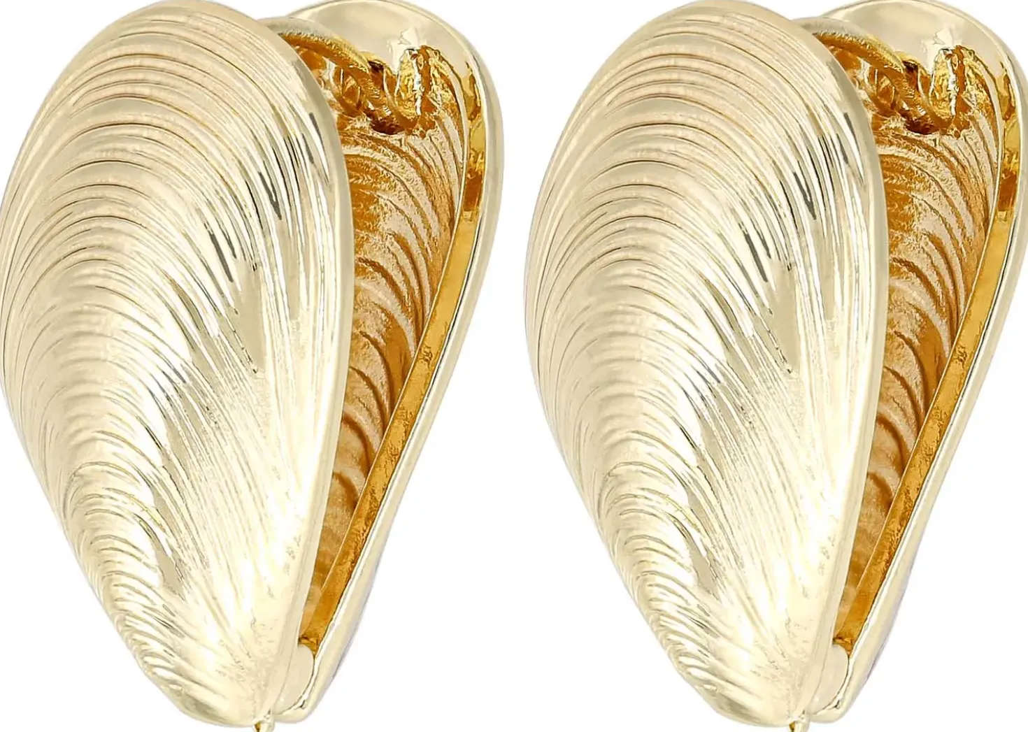 Creoli - Golden Shells