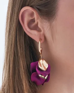 Creoli - Purple Gleam