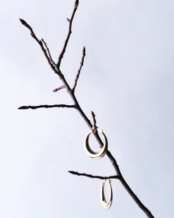 Creoli - Timeless Basic