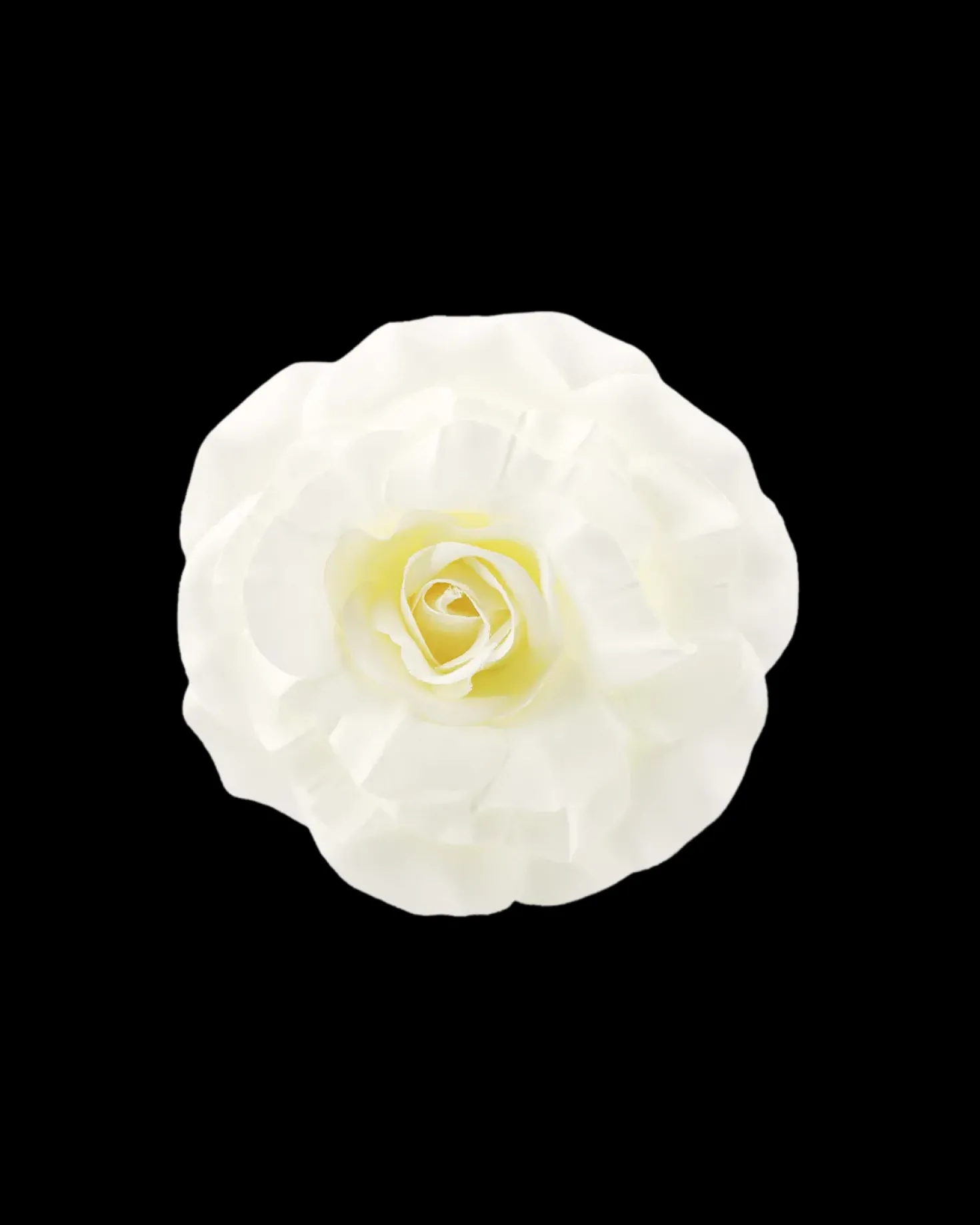Fermacapelli - Ivory Flower