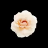 Fermacapelli - Peach Blossom