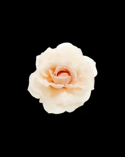 Fermacapelli - Peach Blossom