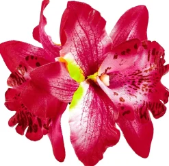 Fermacapelli - Tropical Flower