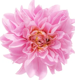 Fermacapelli - Wonderful Flower