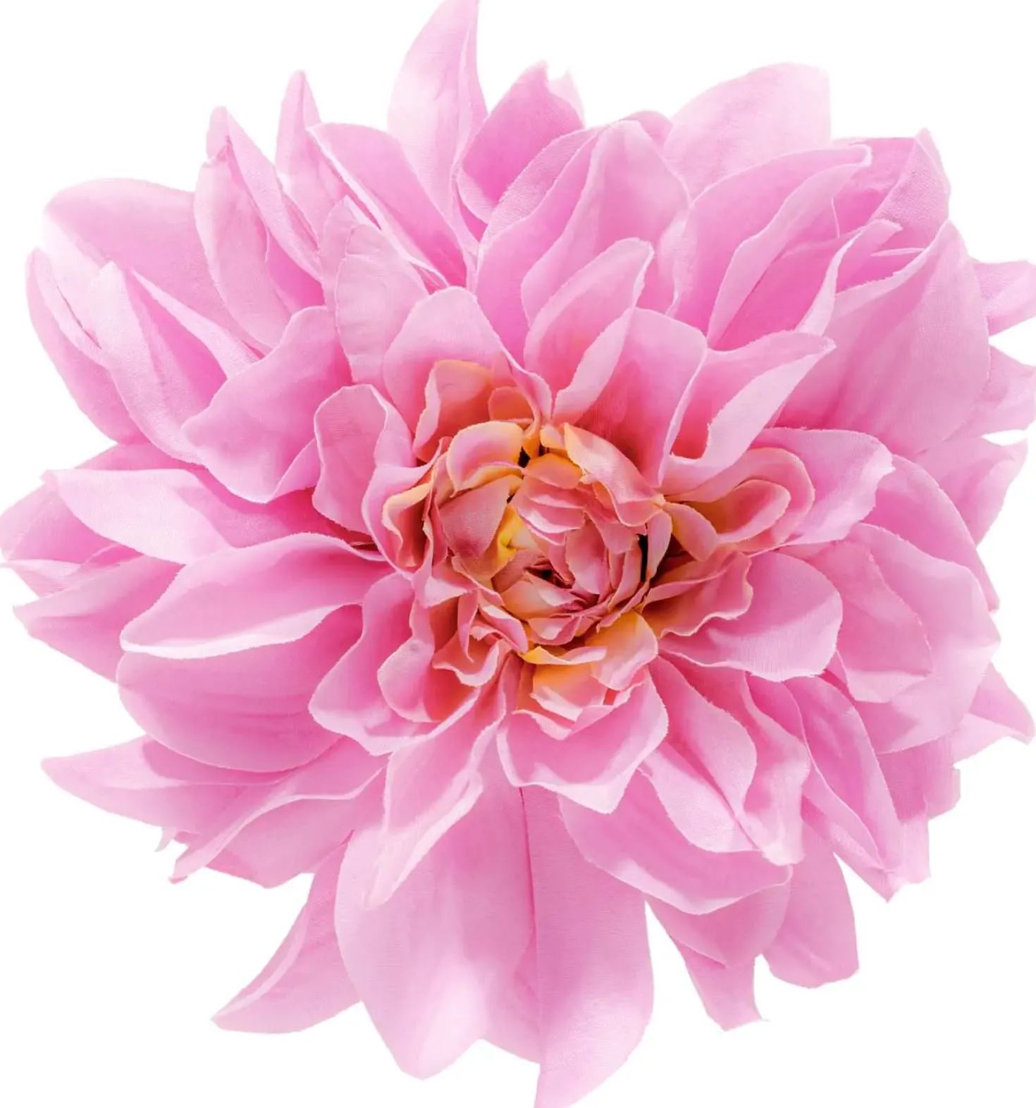 Fermacapelli - Wonderful Flower