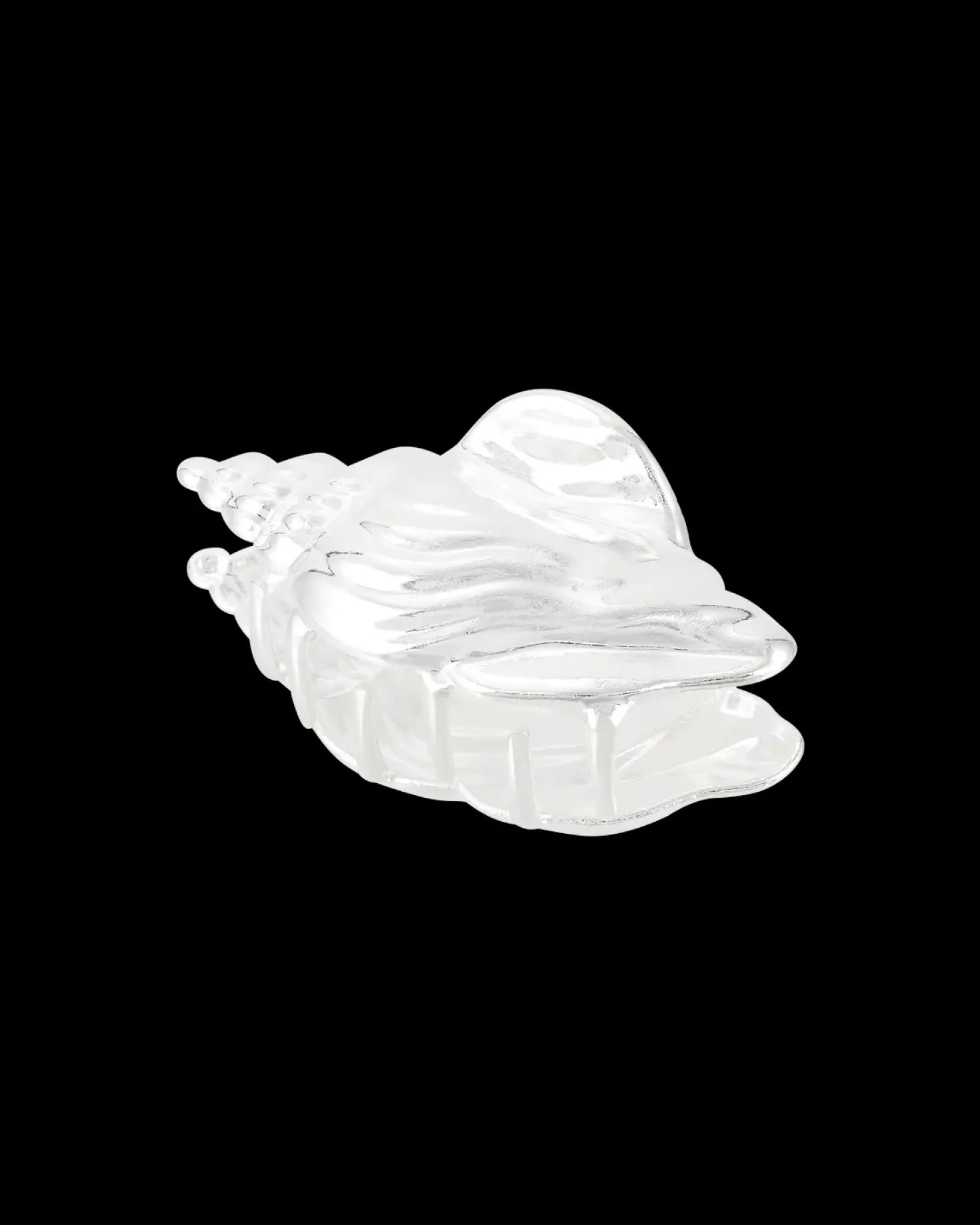 Fermaglio per capelli - Conch Shell
