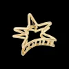 Fermaglio per capelli - Golden Star