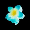 Fermaglio per capelli - Ocean Flower
