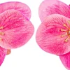 Orecchini a clip - Glitter Bloom
