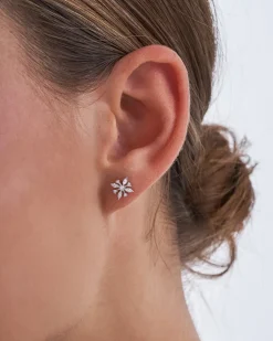 Orecchini a perno - Silver Iceflower