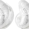 Orecchini a perno - Silver Shells