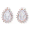 Orecchini a perno - Sparkling Rose