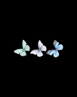 Set di fermacapelli - Fairy Wings