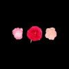 Set di fermacapelli - Pink Flowers
