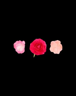 Set di fermacapelli - Pink Flowers