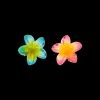 Set di fermagli per capelli - Aloha Summer