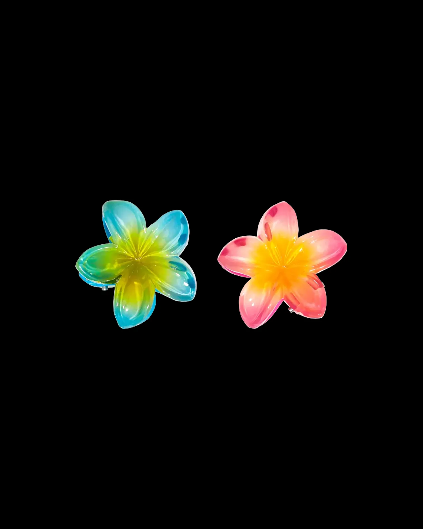 Set di fermagli per capelli - Aloha Summer