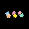Set di fermagli per capelli - Colorful Flowers