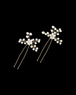 Set di forcine per capelli - Golden Wonder