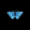 Spilla - Blue Wings