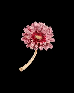 Spilla - Rose Harmony
